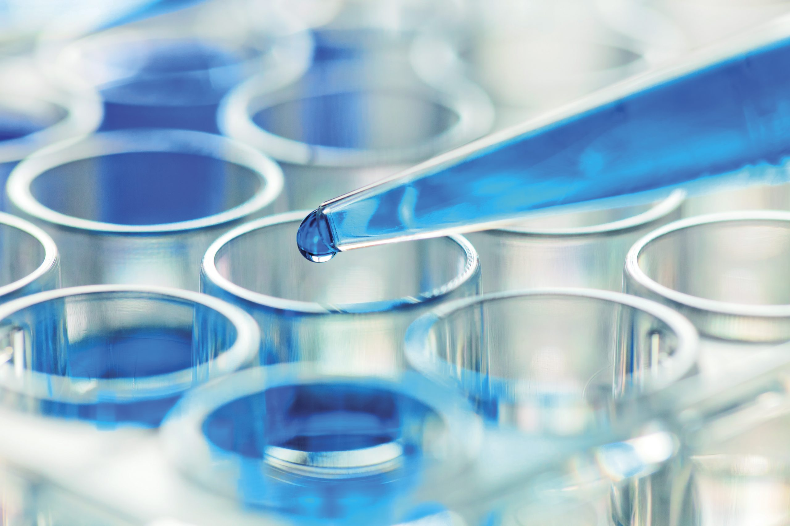 Pharmaceutical development and CMC strategy